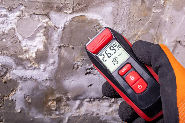Best Fast Mold Removal  in Wheelersburg, OH