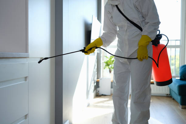 Best Toxic Mold Removal  in Wheelersburg, OH