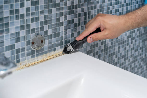 Best Residential Mold Removal  in Wheelersburg, OH